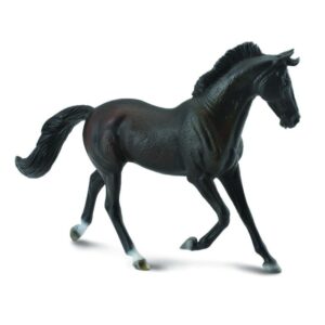 Black Thoroughbred Mare Horse