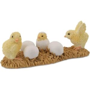 Hatching Chicks Hatching Chicks