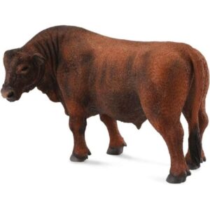 Red Angus Bull Red Angus Bull