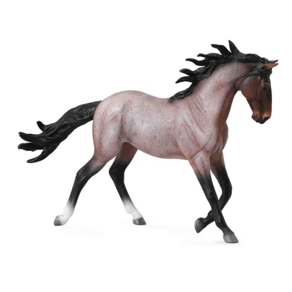 Bay Roan Mustang Mare Horse