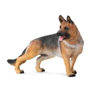 German Shepherd Dog German Shepherd Dog