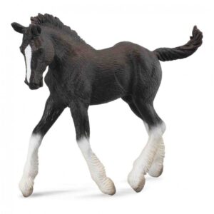 Black Shire Foal Horse