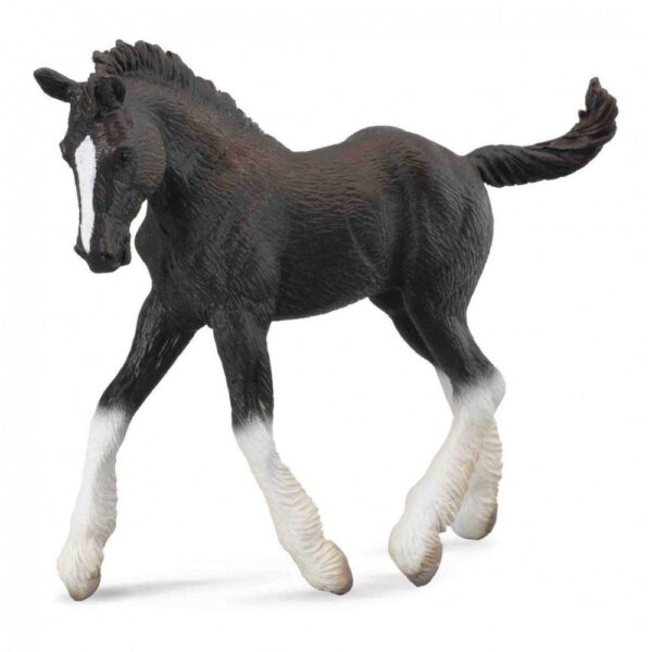 Black Shire Foal Horse