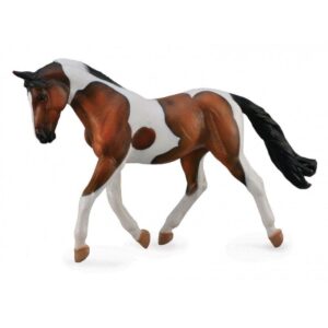 Bay Pinto Mare Horse Bay Pinto Mare Horse