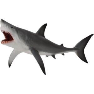 Great White Shark Great White Shark