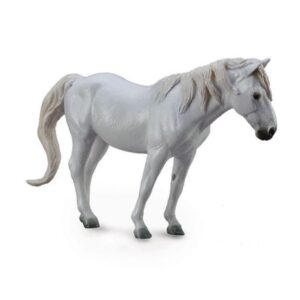 Grey Camargue Horse