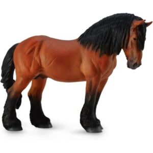 Bay Ardennes Stallion Bay Ardennes Stallion
