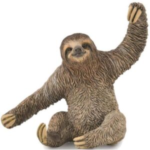 Sloth Sloth