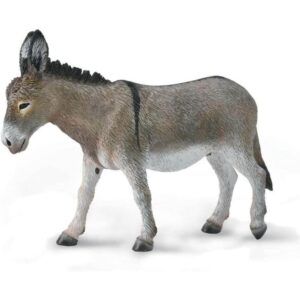 Donkey Donkey