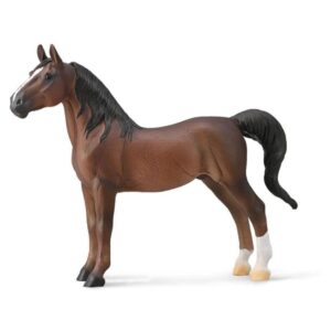 American Saddlebred Stallion