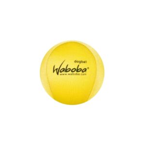 Fetch Water Ball Fetch Water Ball