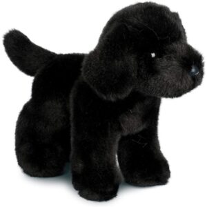 Bear Black Lab 10 Bear Black Lab 10