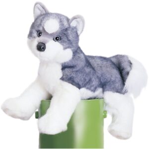 Sasha Husky 16 Sasha Husky 16