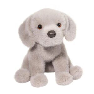 Argento Floppy Silver Lab Argento Floppy Silver Lab