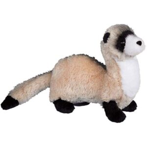 Dapper Ferret 7 Inch Dapper Ferret 7 Inch