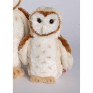 Rafter Barn Owl Rafter Barn Owl