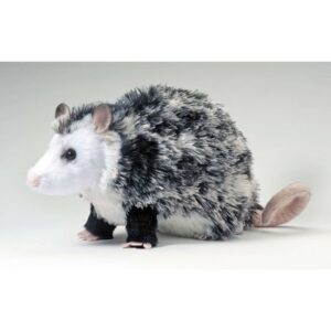 Oliver Possum Oliver Possum