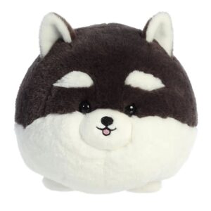 Black & White Pom Teddy Pet Black & White Pom Teddy Pet