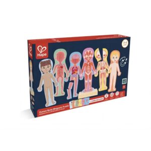 Human Body Magnetic Puzzle Human Body Magnetic Puzzle