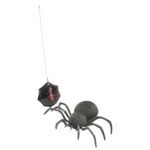 Spooky Spider Spooky Spider