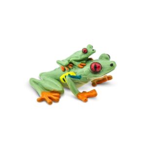 Red-Eyed Tree Frog Red-Eyed Tree Frog