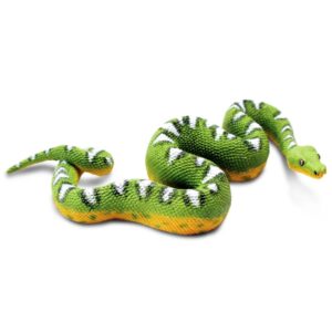 Emerald Tree Boa Emerald Tree Boa