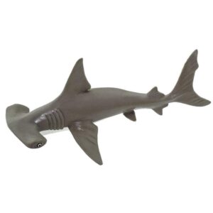 Hammerhead Baby Shark Hammerhead Baby Shark