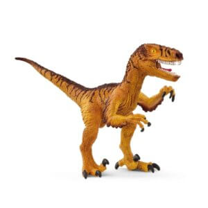 Velociraptor Velociraptor