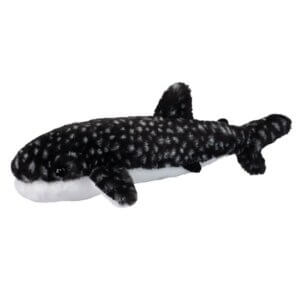 Barnacle Whale Shark Barnacle Whale Shark