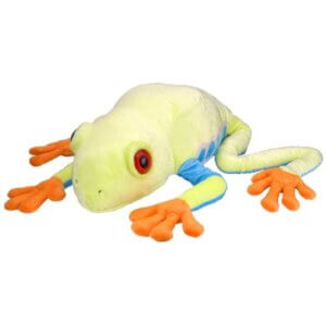Red-Eyed Tree Frog 30 Inch Red-Eyed Tree Frog 30 Inch