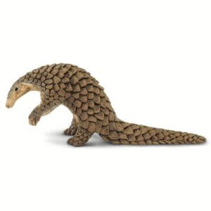 Pangolin Pangolin