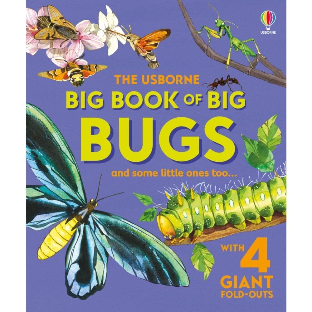Big Book of Big Bugs - Toys & Co.