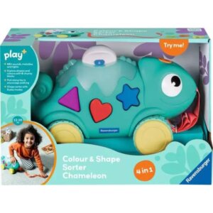 Chameleon Color & Shape Sorter Chameleon Color & Shape Sorter